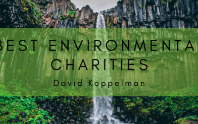 Best Environmental Charities