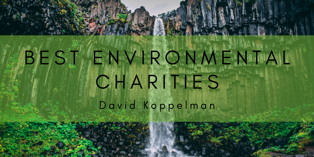 Best Environmental Charities