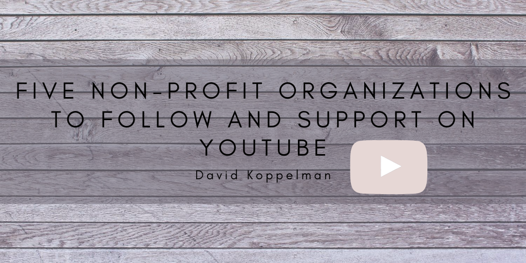 Five Non Profit Organizations To Follow And Support On Youtube